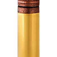 Aguila .22 Rimfire LR HV Hollow Point 38 Grain Rifle Cartridges